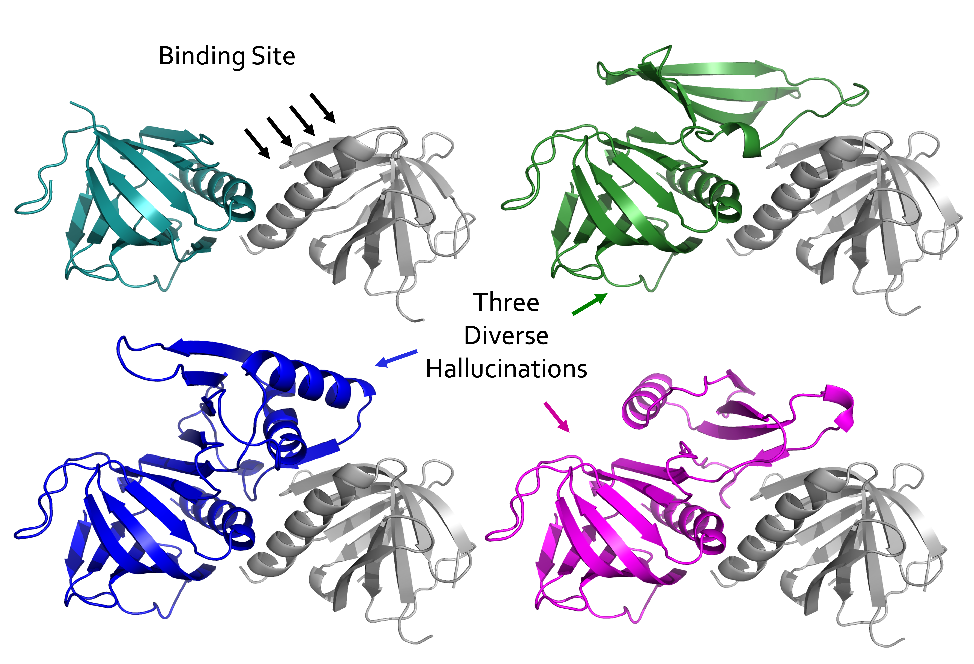 De Novo binding example