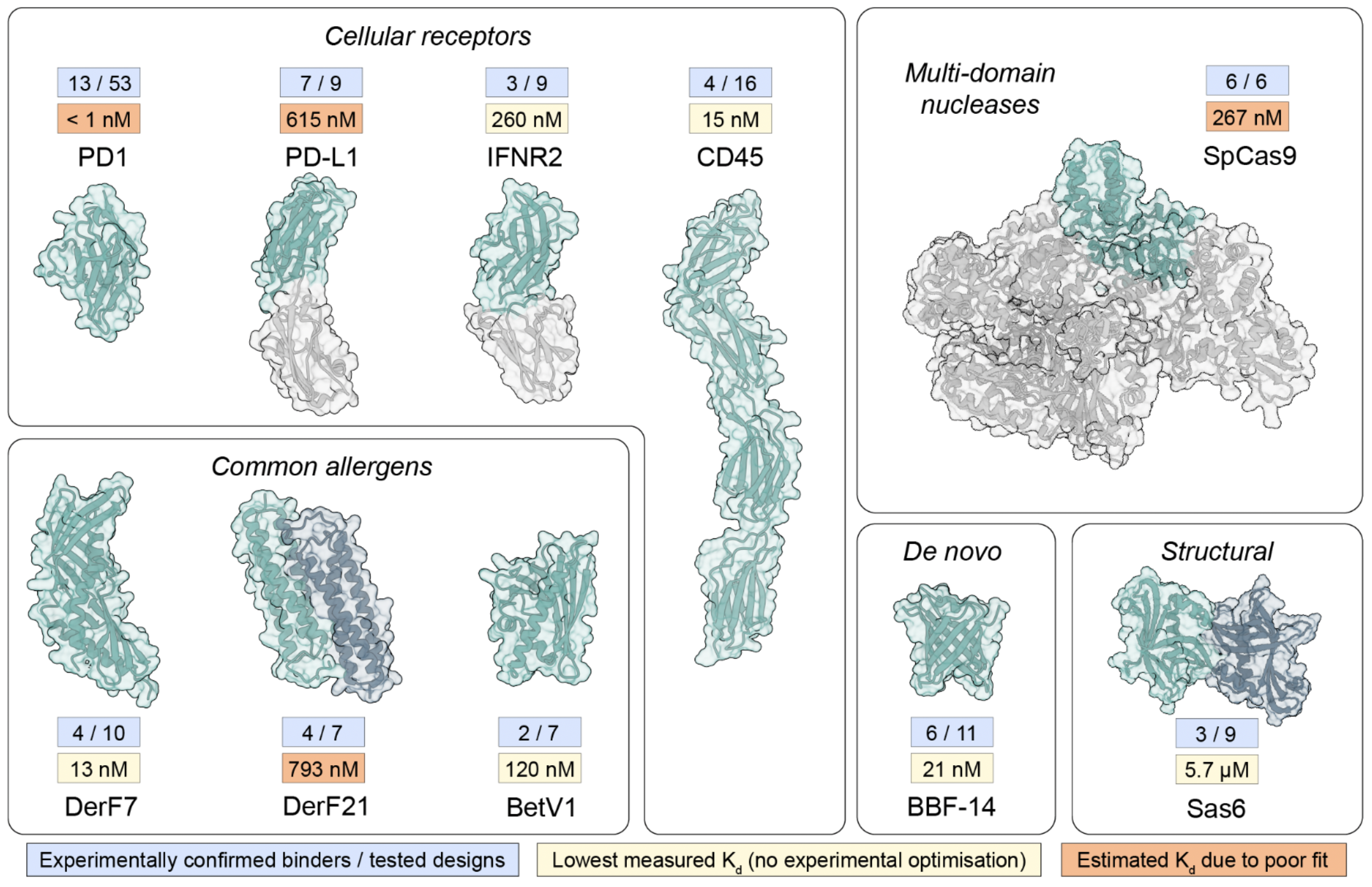 A figure with cartoons of binder designs for 10 target proteins along with the best Kd for each binder, which ranges from <1 nM to 5.8 µM>