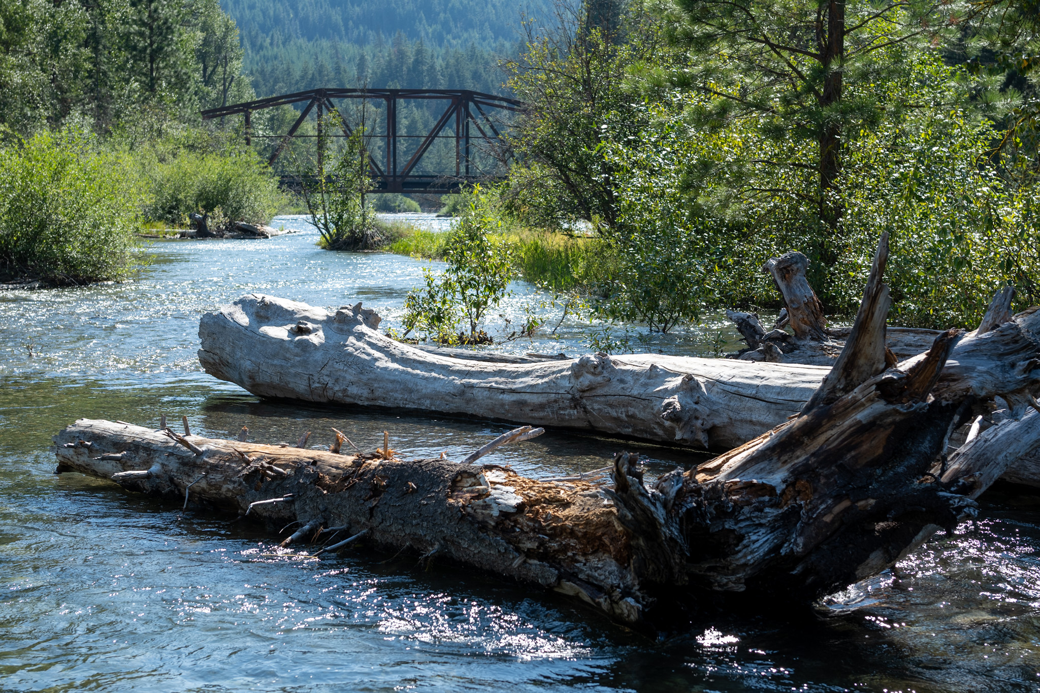 A photo of the river below the Suncadia Resort, with some driftwood in the foreground and the mountains in the background