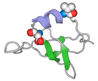 a cartoon of 2L32 with residues 20 and 30 in balls