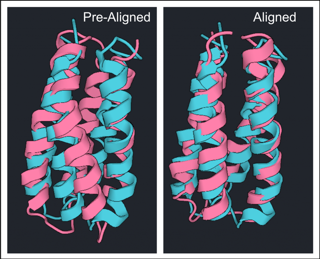 Two protein views of compared proteins, on the left the structures are not aligned, and on the right they are aligned