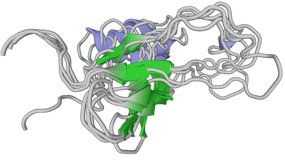 an ensemble of relaxed protein models