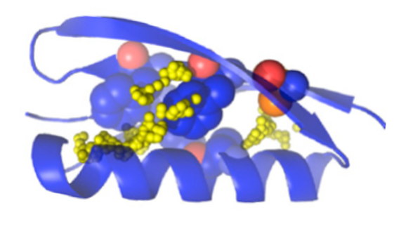 Cartoon diagram depicting mutated residues