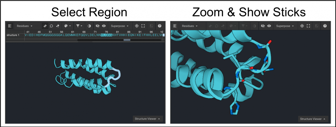 two views of the same protein, one is zoomed out with a small loop region selected. The  other is zoomed in on the loop with sticks displayed