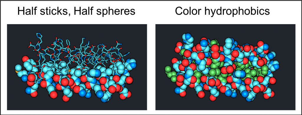 two views of the same protein,  at left the protein is displayed as half sticks half spheres, at right the entire protein is displayed as spheres with hydrophobics colored