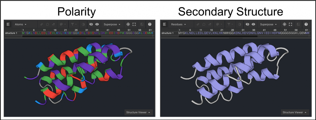 Two cartoon views of the same protein, the protein on the left is colored by polarity, and the one on the right is colored by secondary structure